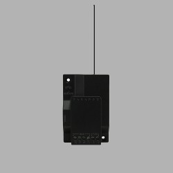 RX1